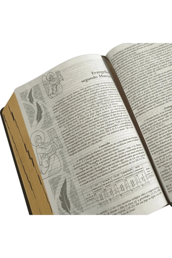 Produto Bíblia Sagrada Tradução Oficial da CNBB - 6ª edição - Scribere