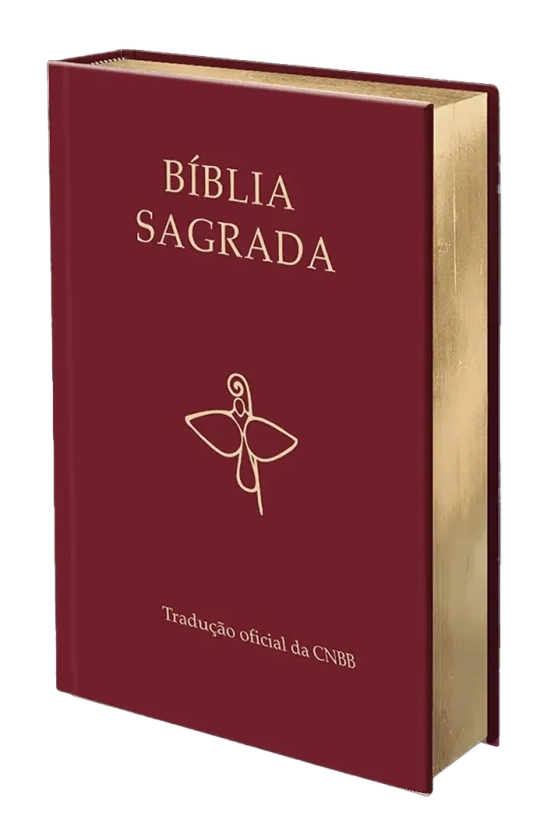 Bíblia Sagrada - Tradução Oficial da CNBB - 6ª Edição - Semiluxo Produto Bíblia Sagrada - Tradução Oficial da CNBB - 6ª Edição - Semiluxo