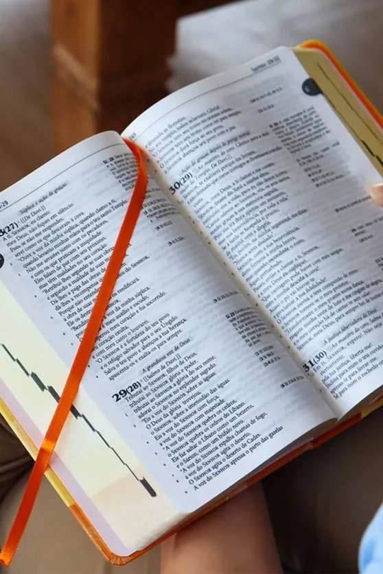 Bíblia Sagrada Tradução Oficial da CNBB -Capa laranja - Jovem - 6ª Edição Produto Bíblia Sagrada Tradução Oficial da CNBB -Capa laranja - Jovem - 6ª Edição