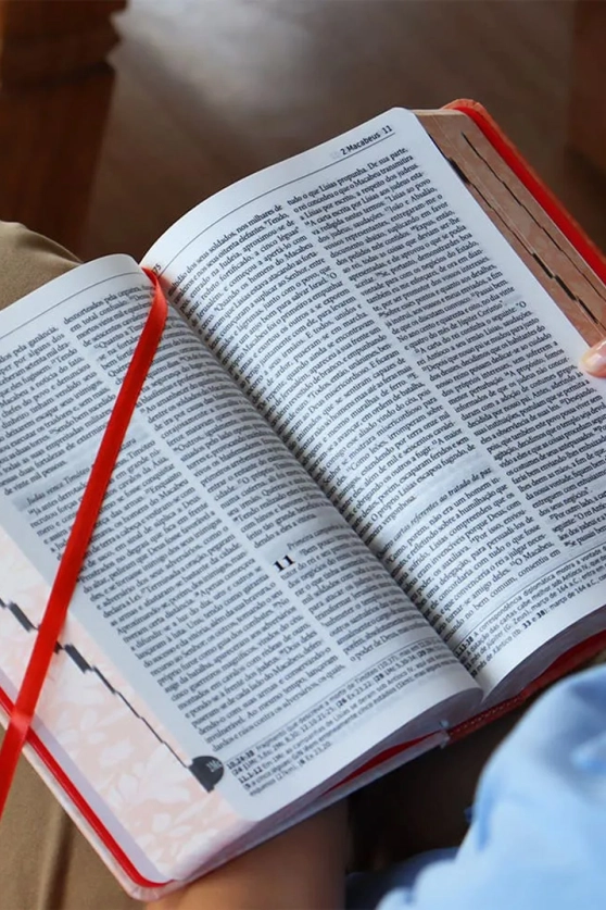 Bíblia Sagrada Tradução Oficial da CNBB - Capa Salmão - Feminina - 6ª Edição Produto Bíblia Sagrada Tradução Oficial da CNBB - Capa Salmão - Feminina - 6ª Edição