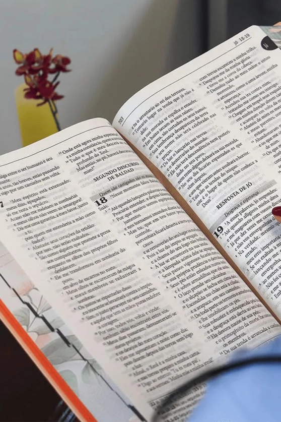 Produto Bíblia Sagrada Tradução oficial da CNBB - Luxo - Letra grande - Feminina 6ª Edição