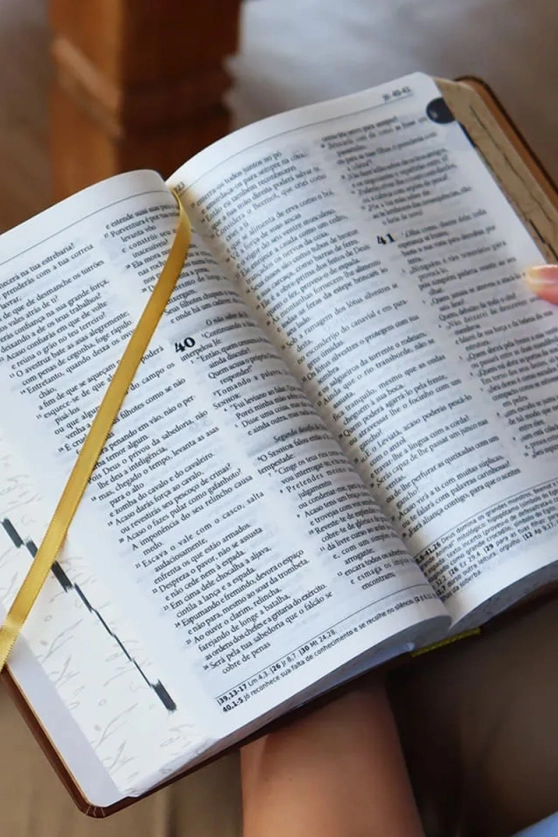 Produto Bíblia Sagrada Tradução Oficial da CNBB - Sarça-Ardente - 6ª Edição