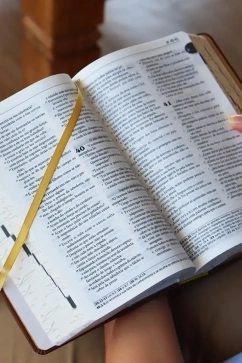 Produto Bíblia Sagrada Tradução Oficial da CNBB - Sarça-Ardente - 6ª Edição